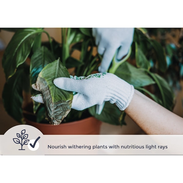 Miracle Led Multi-Plant WIDE ANGLE Red & Blue Spectrum Grow Light, Three Socket Fixture 802934 - main